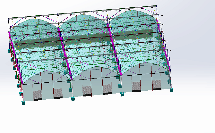 6m/8m/10m Large Multi span Film Greenhouse