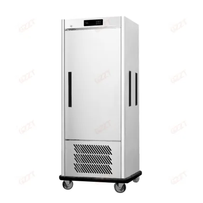 Commercial Mobile Refrigerator Food Trolley