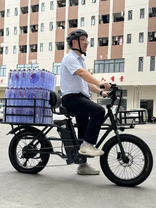 48V 500W Electric Cargo Bicycle with Shimano 7-Speed for City Use