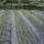 PP woven weed barrier control mat ground cover