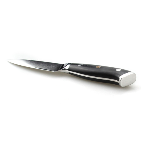 TOALLWIN Heavy Duty VG10 cuchillo de filete de damasco