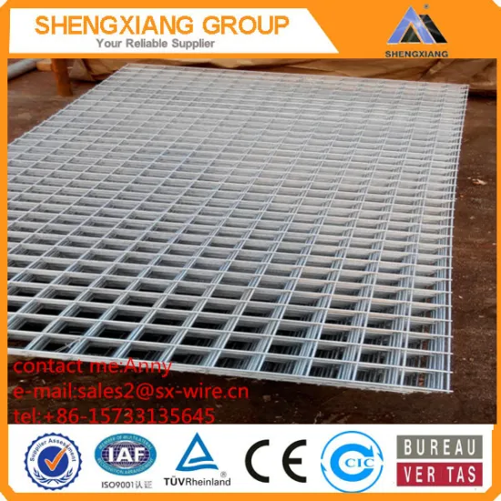 Welded Wire Mesh/Plastic coated welded wire mesh/Stainless steel welded wire mesh