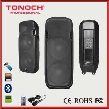 Double 15" High Power 2 Way Professional Speaker