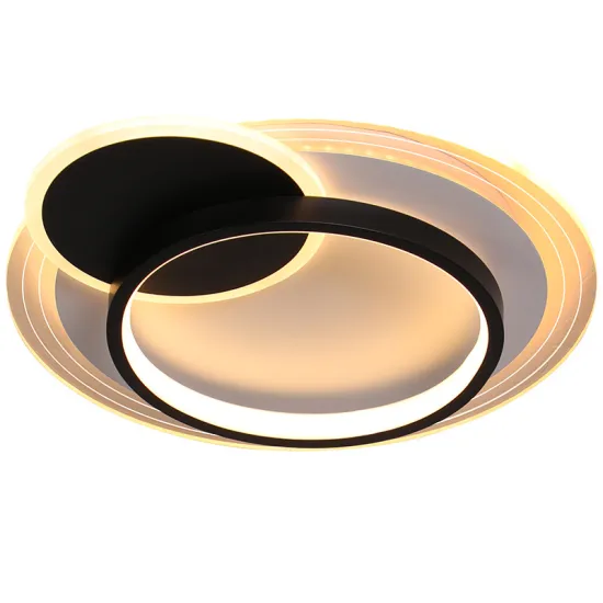 INSHINE Hanging Ceiling Sconce Lighting
