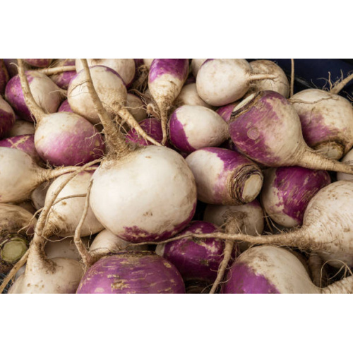 Brassica Rapa Fruit Extract: Your Source for Antioxidant Power