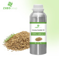 100% Pure And Natural Caraway Essential Oil High Quality Wholesale Bluk Essential Oil For Global Purchasers The Best Price