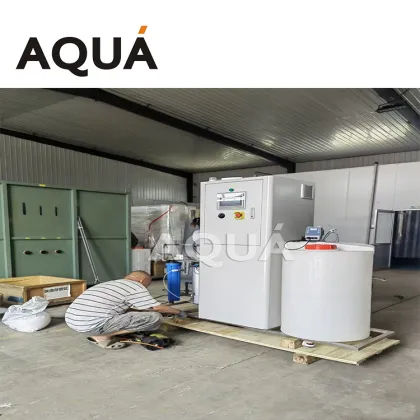 Automatic 100LPH HOCl Water Ionizer - Industrial Hypochlorous Acid Water Ionizer 200PPM