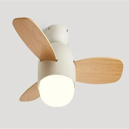 Nordic Modern LED Ceiling Fan with Light