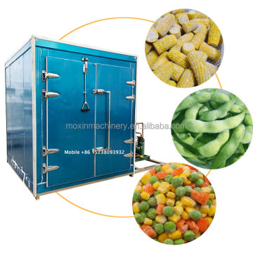 MX Continuous Tunnel Continuous Drying Oven for Food Industry with Multi-Conveyor Mesh Belt