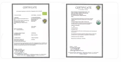 Chuanqi four seasons series goji berries orange