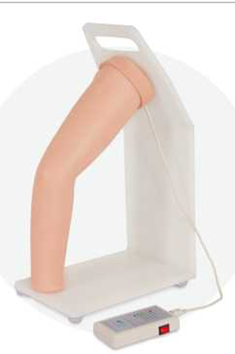 Elbow Joint Cavity Injection Model