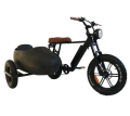 Gashebel Grizzly Downhill Electric Tricycle