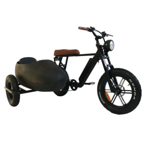 Gashebel Grizzly Downhill Tricycle elettrico