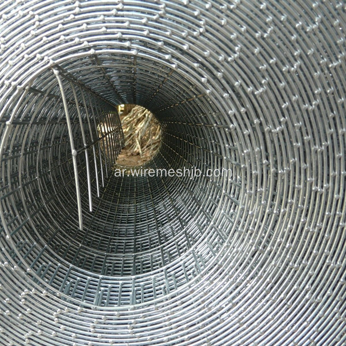 1 &#39;&#39; x 1&#39;&#39;Galvanized ملحومة سلكية رولز