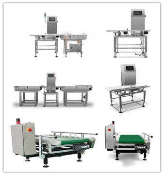 Conveyor Check Weigher for Salt