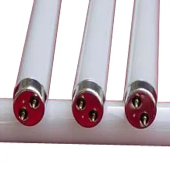 T10 Fluorescent Tube