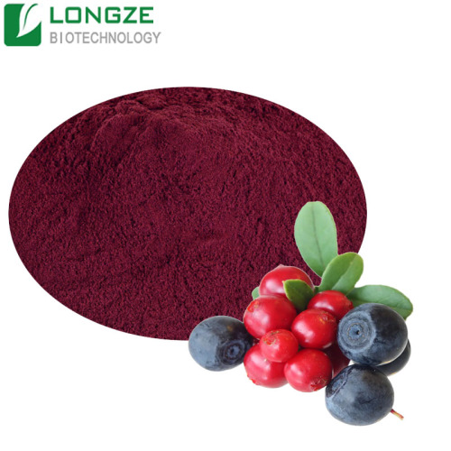 Vaccinium myrtillus Extract Powder