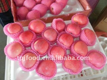 red fuji apples 80% color