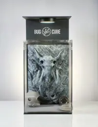 Mammoth Pattern Background Acrylic Terrarium