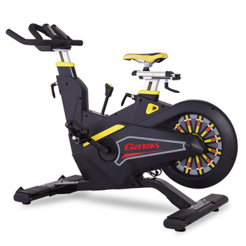 Stationary Bike Magnetic Control Rear Flywheel