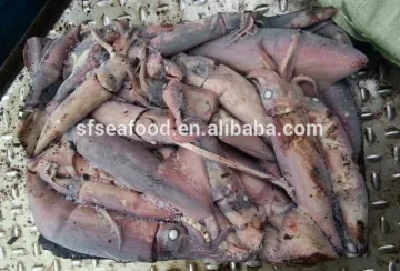 todarodes pacificus seafood