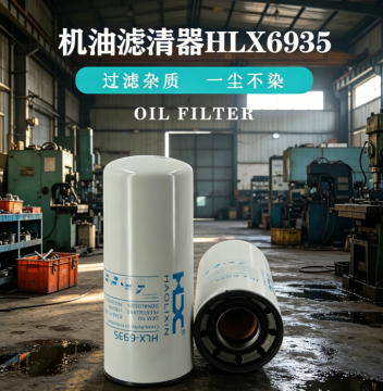 Engine oil filter HLX6935