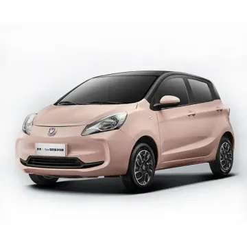 Best Selling Changan Benben EV: High Performance New Energy Vehicle for Delivery