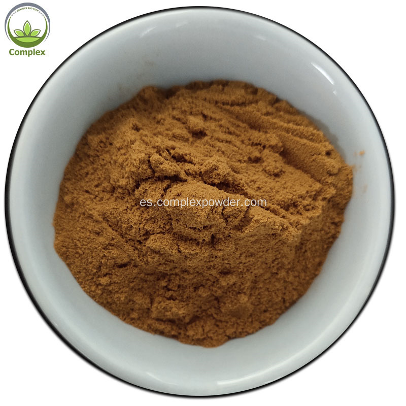 Polvo de extracto de Cordyceps Sinensis a base de hierbas 100% natural