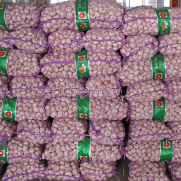 China Garlic new garlic price garlic