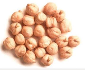 Good Quality Chickpea Beans