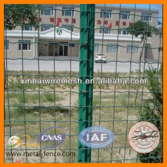 PVC coated Euro fence/Holland wire mesh fence (direct factory)