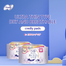 Lady Anion Sanitary Napkin with Competitive Price