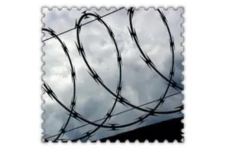 High quality double strands coil razor barbed wire