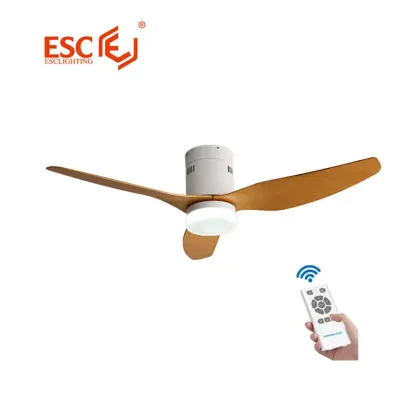 Modern decorative lighting silent ceiling fan with lights