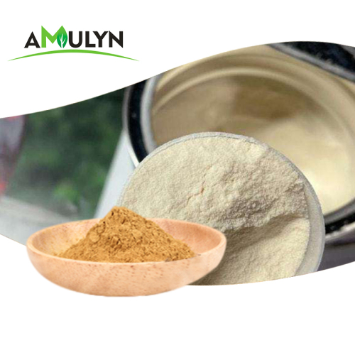 Shiitake Mushroom extract Mushroom polysaccharide