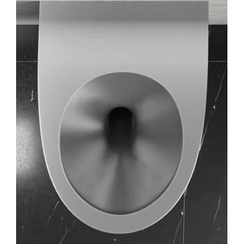 Wand montierte Edelstahl -Toilette