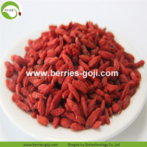 Boîte de fruits Factory Premium Boîte de Goji