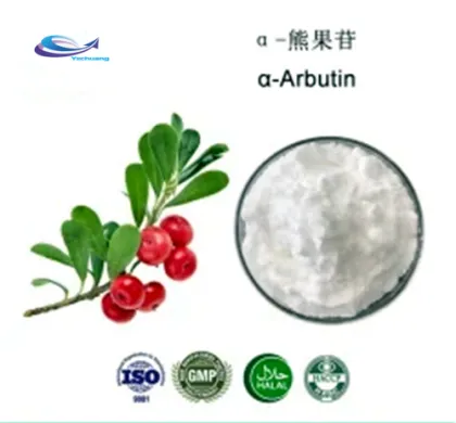 Best Price The Ordinary 99% Alpha Arbutin Powder