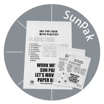 Custom Luxury Recyclable Paper Packaging Bags