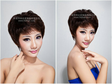 Excellent /Popular Synthetic Hair Wig for Women (NO. 12737)