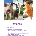 Enzim xylanase untuk nutrizyme tambahan makanan haiwan