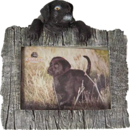 Antique Decorative Picture Photo Frames: Enhance Your Memories with Stylish Frames