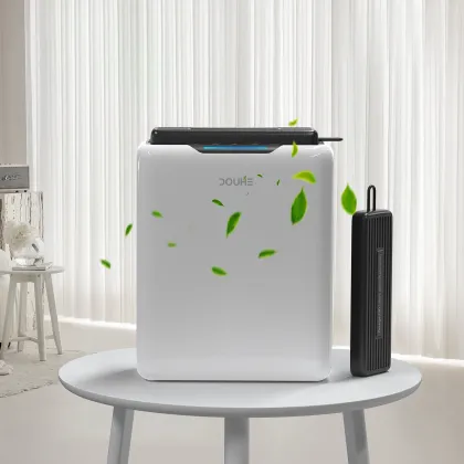 DOUHE Premium Automatic Defrost Dehumidifier