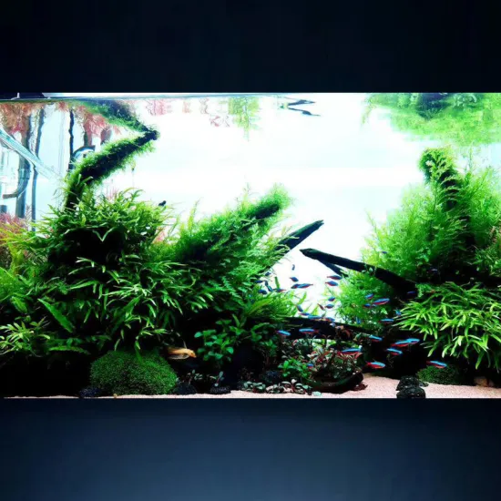 30w-40w Fish Tanks Aquarium LED Backlight Panel Light 600*450mm