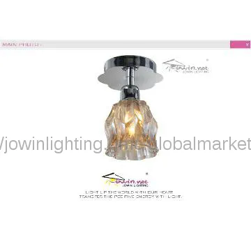 Flush Mount Ceiling Light Fixtures