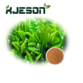 Green Tea Extract Polyphenol