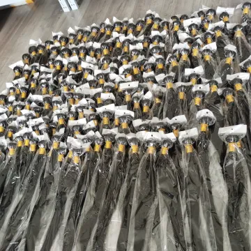 Best Selling Straight Hair Bundles Virgin Brazilian Human Bundles Raw Virgin Cuticle Aligned Hair Bundles With Frontal