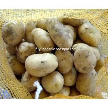 natuurlijke verse aardappel schaalt