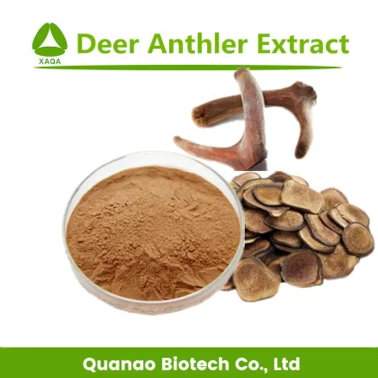 Enhancing Sexual Deer Anthler Velvet Extract Powder