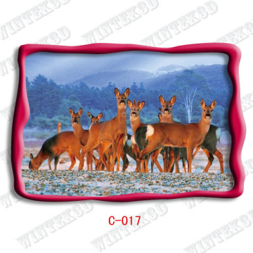 3d Animal Picture Post Card 
